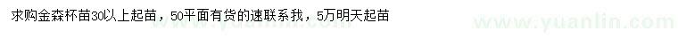 求購30公分以上金森