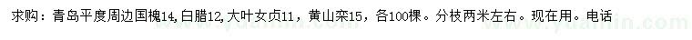 求購國槐、白臘、大葉女貞等