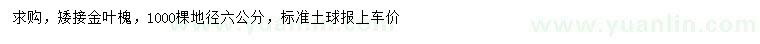 求購地徑6公分矮接金葉槐