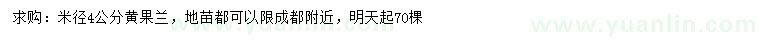 求購米徑4公分黃果蘭