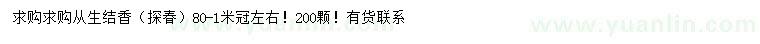 求購冠幅80-100公分左右從生結(jié)香