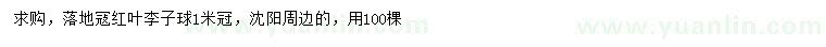 求購冠幅1米落地冦紅葉李子球