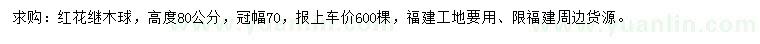 求購高80公分紅花繼木球