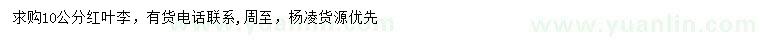 求購10公分紅葉李
