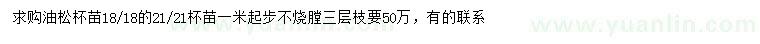 求購(gòu)1米起步油松