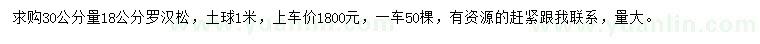 求購(gòu)30公分量18公分羅漢松