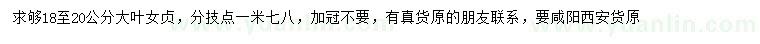 求購18-20公分大葉女貞