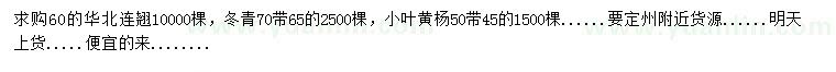 求購華北連翹、冬青、小葉黃楊