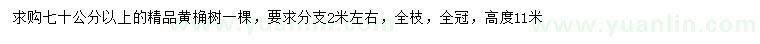 求購70公分以上精品黃桷樹