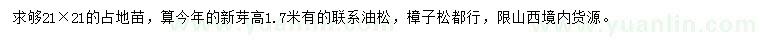 求購21*21公分油松、樟子松