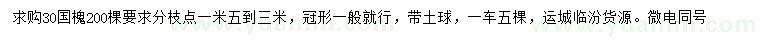 求購(gòu)30公分國(guó)槐