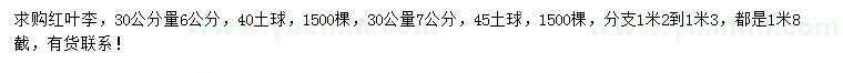求購30公分量6、7公分紅葉李