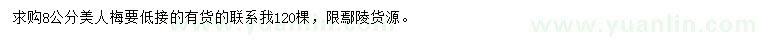 求購(gòu)8公分美人梅