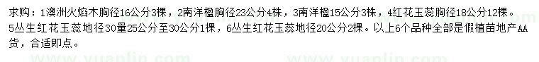 求購澳洲火焰木、南洋楹、紅花玉蕊等