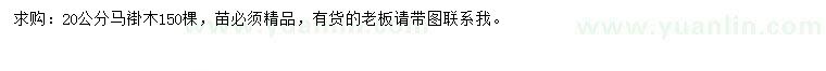 求購20公分馬褂木