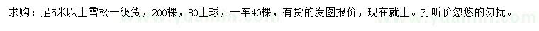 求購(gòu)足5米以上雪松