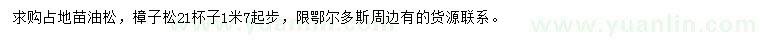 求購(gòu)1.7米起步油松、樟子松