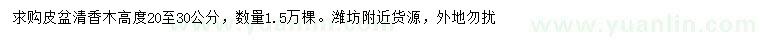 求購高20-30公分清香木