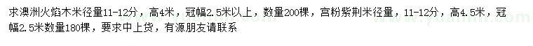 求購米徑量11-12公分澳洲火焰木、宮粉紫荊