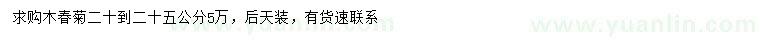 求購20-25公分木春菊