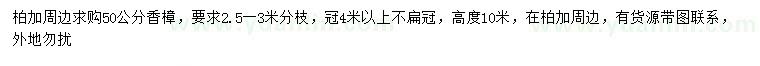求購50公分香樟