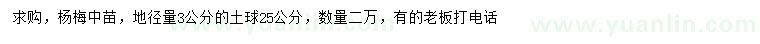 求購地徑量3公分楊梅