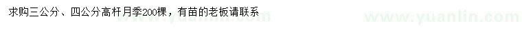 求購(gòu)3、4公分高桿月季