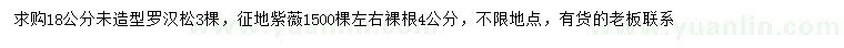 求購(gòu)18公分羅漢松、4公分紫薇