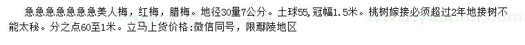 求購(gòu)紅梅、美人梅、臘梅