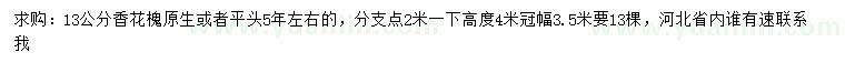 求購13公分香花槐