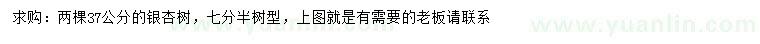 求購37公分銀杏