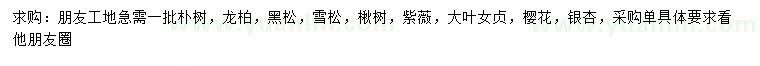 求購(gòu)樸樹(shù)、龍柏、黑松等