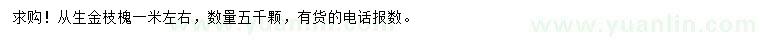 求購1米左右從生金枝槐