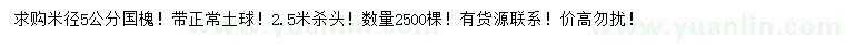 求購米徑5公分國槐