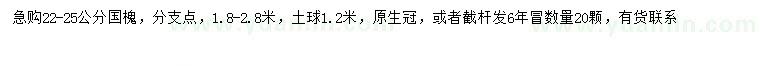 求購(gòu)22-25公分國(guó)槐