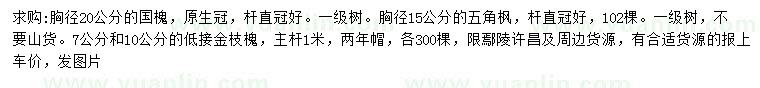 求購國槐、五角楓、金枝槐
