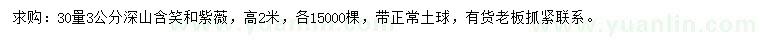 求購30量3公分深山含笑、紫微