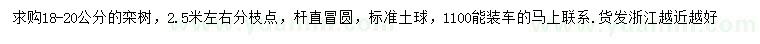 求購(gòu)18-20公分欒樹(shù)