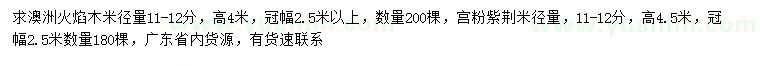 求購米徑11-12公分澳洲火焰木、宮粉紫荊