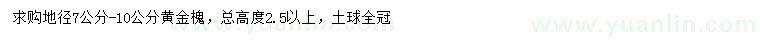求購(gòu)地徑7-10公分黃金槐