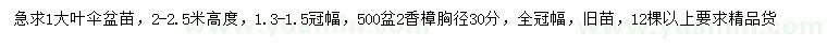 求購高2-2.5米大葉傘、胸徑30公分香樟