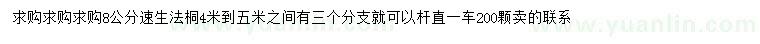 求購8公分速生法桐