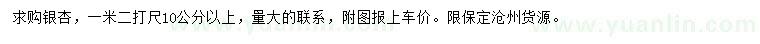 求購1.2米量10公分以上銀杏