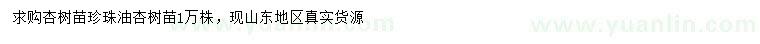 求購杏樹苗、珍珠油杏苗