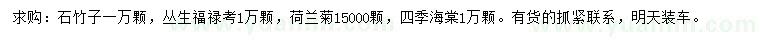 求購(gòu)石竹子、叢生福祿考、荷蘭菊等