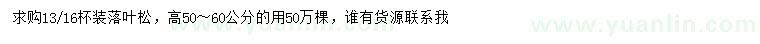 求購(gòu)高50-60公分落葉松