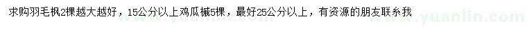 求購羽毛楓、15公分以上雞瓜槭