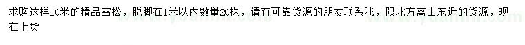 求購(gòu)10米精品雪松