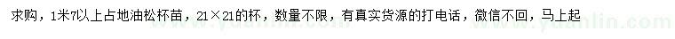 求購1.7米以上油松