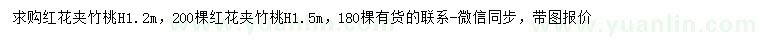 求購(gòu)高1.2、1.5米紅花夾竹桃